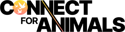 Black 400x104 px