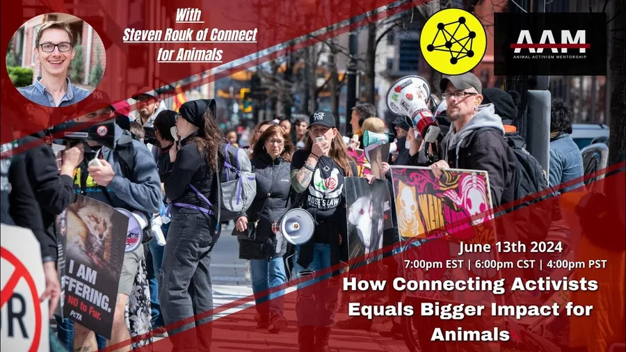 Animal Activism Mentorship video thumbnail