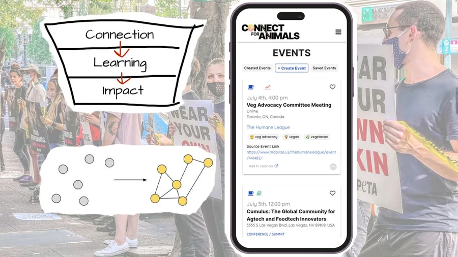 UnchainedTV article preview for Connect For Animals