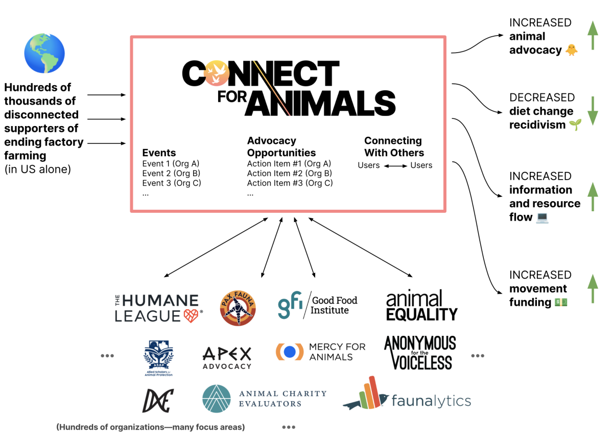 Connect For Animals theory of change