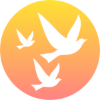 Round 100x100 px